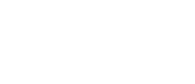 Elite Aviation 